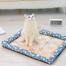 제제펫 패턴 테두리 포인트 반려견 쿠션, Y417PDNS005