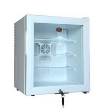 백신냉장고 보건소 보건실 의약품 병원 보톡스 냉장고, 잠금장치 화이트 45L
