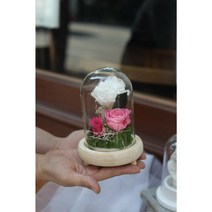 [피오니페페] 프리저브드 유리돔 무드등 - 결혼선물 생일선물 로맨틱밤, 리시안셔스무드등