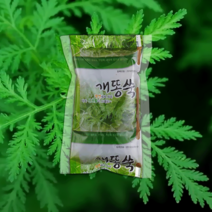 국내산 100% 개똥쑥 진액 엑기스 110ml