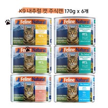 K9 내추럴 캣 고양이 주식캔, 170g x 6개 비프