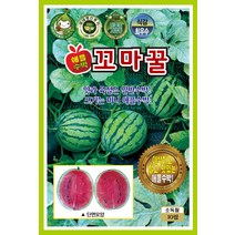 KS꼬마꿀(애플)수박 (소형수박) 10립/과채류