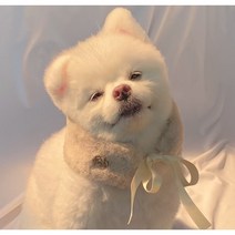 강아지 케이프 고양이 퍼 털 밍크 목도리, S, 아이보리