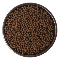 케이웰니스 노니환 1.5kg 노니 열매 추출분말 건강 환, 1kg, 1개