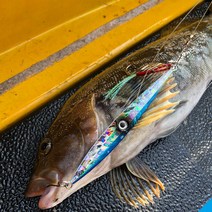 롱지그 LJG004 메탈지그 빅게임 지깅메탈 부시리 방어 삼치 대구 메탈, 400g, 02 핑크