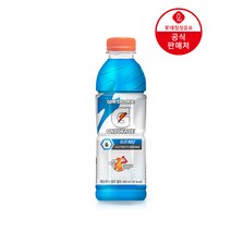 게토레이 블루볼트 600ml 18펫