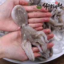 브랜드없음 대한민국전통시장 싱싱한 서해 주꾸미 1kg (5-15미), 단품없음
