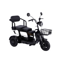 세발 전기삼륜차 SR-79 삼륜전기오토바이 화이트 3륜, 상세 참조