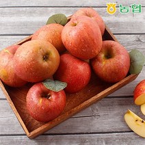 장성농협 햇 부사사과 5kg 가정용/실속형 외 10kg 선택가능, 01. 장성농협 부사사과 5kg 중대