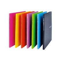 다솔 에코크리어화일10P 20p 30P 40p 클리어파일, 연두, 1개