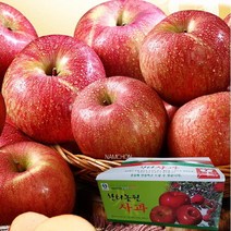 한터 충주사과 4.5kg (15~17과)
