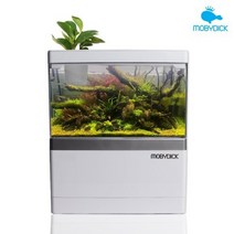 모비딕 모모탱크 M-175 구피 베타 일체형어항