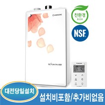 대성쎌틱 DNB 일반 가스보일러 (대전 및 인근지역 당일 설치가능), DNB-13S-21평이하