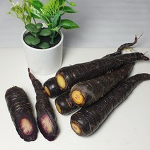해남 자색당근 1kg(크기혼합) 손질 세척해서 편리한 보라색당근, 자색당근 1kg