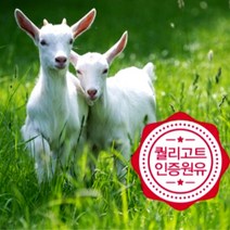 한솜 초유 산양유 단백질 2.5g 30스틱 1개, 2.5g x 30포 x 3개월