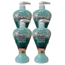 죽염 히말라야 핑크솔트 펌핑치약 아이스카밍민트, 285g, 4개