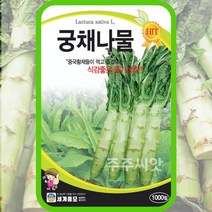 주주씨앗 채소 씨앗 모음 / 상추 쌈채소 유럽상추 치커리 다채 시금치 등, 27. 궁채나물 1000립