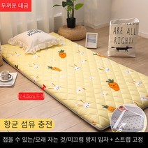 두꺼운 수면 패드 바닥 포장 유물 홈 쿠션 특수 라텍스 매트리스 임대 주택 학생 기숙사 싱글 매트리스, 두꺼운 대금—무 토끼