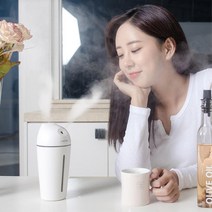 사무실 차량실내 건조한공기 듀얼가습기 가정용 작업실 어린이집 아이방 탁상용 원룸 건조함, 듀엣 가습기 +필터 6개