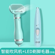 애완동물 드라이기 드라이어 빗드라이 털 말리기 샤워 목욕 강아지 고양이, 옵션1