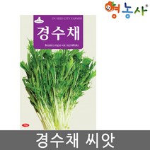 경수채 씨앗 15g 교나 종자, 경수채씨앗
