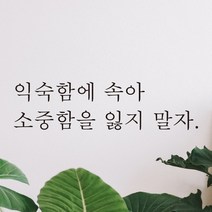 어썸투데이 예쁜 감성 문구 레터링 스티커 익숙함에 속아 소중함을 잃지 말자, L-030, 흰색