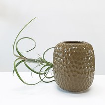 식물시간 olivegreen vase