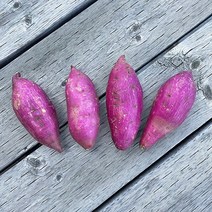 22년 햇 고구마 꿀밤고구마 밤고구마 꿀고구마 베니하루카, 꿀고구마(특상) 5kg, 1박스