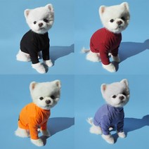 플러피유 아이 엠 터틀 터틀넥 환절기 티셔츠 강아지옷, 라이트퍼플