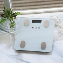 대웅생명과학 헬스온 체지방 측정기, 화이트, IFS-001