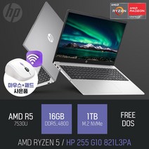 HP 255 G10 821L3PA [무선 마우스 증정], 실버, 라이젠5, 1TB, 16GB, FREE DOS