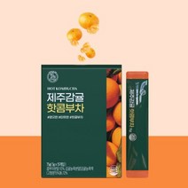 핫콤부차 제주감귤 5gX15개입