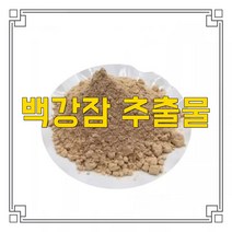 소율국제 백강잠 누에나방 고농축 추출물 분말, 10:1, 1000g, 1개