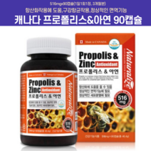 캐나다프로폴리스 목이아플때 클로버꿀 활성산소영양제 포리폴리스 항산화영양제 영국현지생산 항산화 항균작용 정상면역 유지에도움, 516mg * 90캡슐2개(6개월분)+사은품 약통