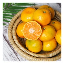 [농부마음] 새콤달콤 제주감귤 5kg(L-2L) 귤 밀감, 상세 설명 참조