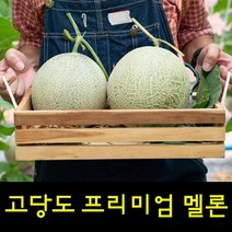 영화농산 프리미엄 멜론 32kg 곡성멜론 멜론가격 시세영화농산 프리미엄 멜론 32kg 곡성멜론 허니듀메론 칸탈로프멜론 하니원멜론 멜론가격 양구멜론 머스크멜론 여름과일 과일, 본상품