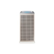 삼성전자 삼성 60㎡ 블루스카이 공기청정기 AX060B510ESD, 없음