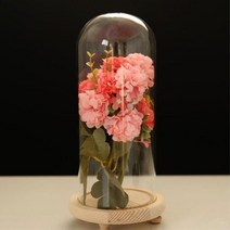 피규어 보석 보관함 아크릴 유리 케이스 인테리어, 12cmx12cm