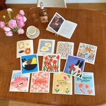 지그시 셀룰로오스 행주 스웨덴 독일 친환경 행주 키친타올 18종, 스프링4종세트