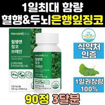 혈행 개선 건강 관리 은행 잎 추출물 징코 빌로바 효과 음식 효능 제품 영양제 혈행에좋은 중년 노인 고농축 고함량 기억력 두뇌 비타민 프리미엄 대용량 고용량 플러스 뇌
