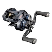 다이와(DAIWA) 21 스티즈 A TW HLC 7.1L