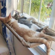 고양이 해먹 창문 선반 고양이 창문 해먹 강력고정 윈도우 창틀 투명, 핑크