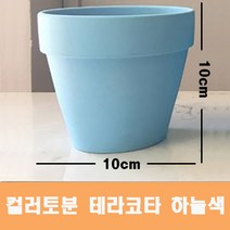 컬러 토분(하늘색) 화분 미니토분 다육이 테라코타[지름10cmX높이10cm] 수입도매