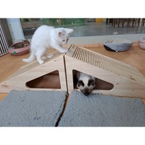 고양이 미끄럼틀형 원목스크래처