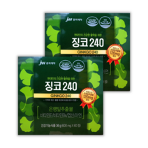 JW중외 징코240 60정(2개월분 600mg) 은행엽+아연+비타민B E, 2박스, 60정