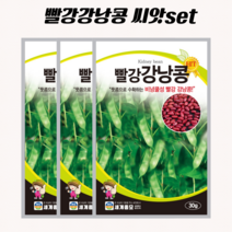 빨강강낭콩 30g x 3봉 / 씨앗 종자 강낭콩 씨 콩 종자 주말농장 텃밭, 3개