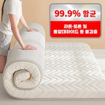 지오리스 슬립쉐브론 25D 통폼&라텍스 토퍼 매트리스