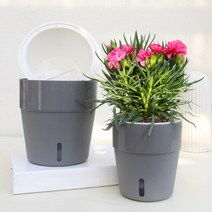 자동 급수 수위창 화분 A605 13x14cm화분자동급수기 화분 인테리어화분 플라스틱화분 수위창화분 분갈이화분 반려식물키우기 소형화분 자동급수화분 급수화분, A605자동급수화분