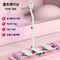 2세대 3세대 홈트레이닝 슬라이드 스키 머신 스쿼드 하체 다이어트 운동 애플힙 접이식, [2세대]핑크(손잡이없음)