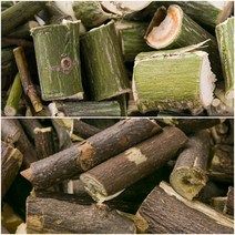 국산 벌나무가지(산청목) 600g 한방재료 한약재, 국산 벌나무가지600g + 국산 헛개나무가지 600g